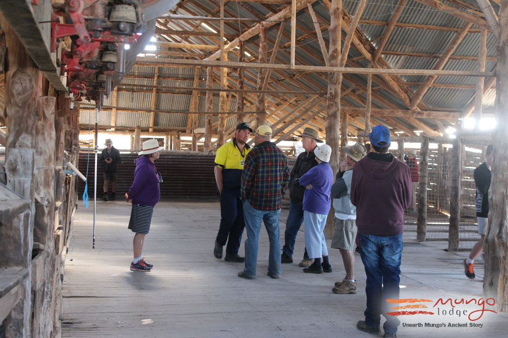 Mungo Woolshed