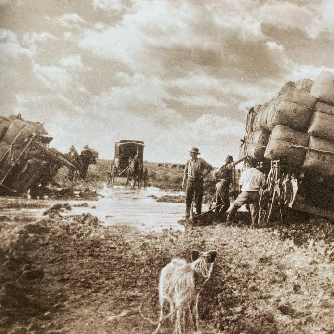 Historic Mungo Woolshed