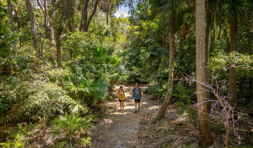 Top Scenic Walks in Mungo National Park NSW You Can’t Miss